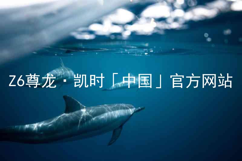 Z6尊龙·凯时「中国」官方网站